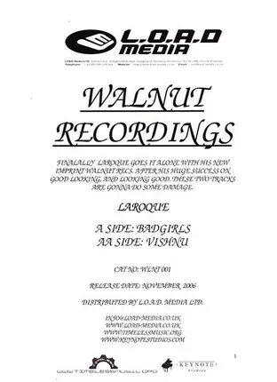 Laroque - Bad Girls / Vishnu