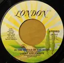 7inch Vinyl Single - Larry Applewhite - In The Middle Of The Night