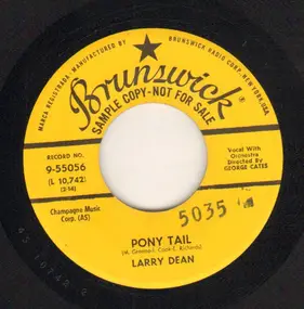 Larry Dean - Pony Tail / All The Time