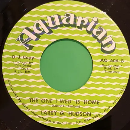 Larry G. Hudson - You Light Up My World / The One I Wed Is Home
