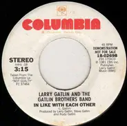 Larry Gatlin & The Gatlin Brothers - In Like With Each Other