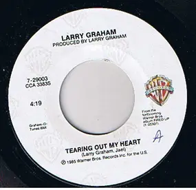 Larry Graham - What We All Need Is More Love