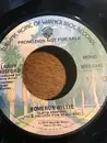 7inch Vinyl Single - Larry Hosford - Homerun Willie