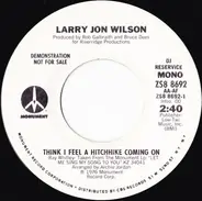 Larry Jon Wilson - Think I Feel A Hitchhike Coming On