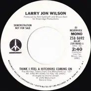 Larry Jon Wilson - Think I Feel A Hitchhike Coming On