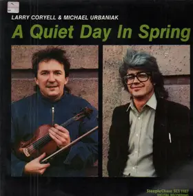 Larry Coryell - A Quiet Day in Spring