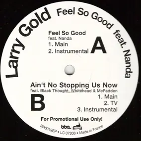 Larry Gold Feat. Nanda - Feel So Good