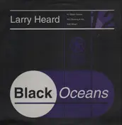 Larry Heard - Black Oceans