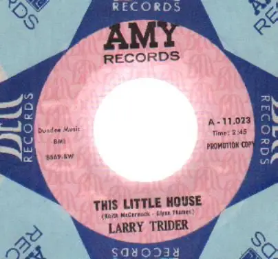 larry trider - little house