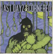 7inch Vinyl Single - Last Dayz & Cornered - Last Dayz / Cornered - + download code & stickers