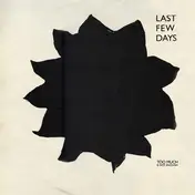 Last Few Days - Too Much Is Not Enough