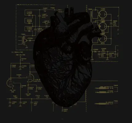 Last Harbour - YOUR HEART, IT CARRIES THE SOUND