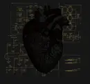 CD - Last Harbour - Your Heart, It Carries The Sound