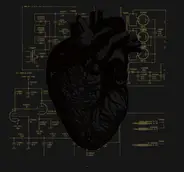 Last Harbour - YOUR HEART, IT CARRIES THE SOUND
