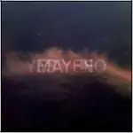 Laura - YES NO MAYBE