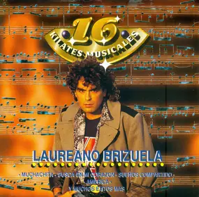 Laureano Brizuela - 16 Kilates Musicales