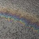 CD - Laurel Halo - In Situ - Digipak