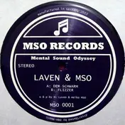 LAVEN & MSO - Der Schwarm