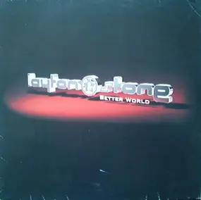 Stone - better world