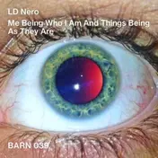 LD Nero - Me Being Who I Am and Things Being as They Are
