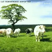 Le Hammond Inferno - My First Political Dance