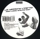 12inch Vinyl Single - Le Hammond Inferno - Easy Leasing Superstar