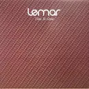 12inch Vinyl Single - Lemar - Time To Grow - Promo