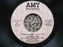 7inch Vinyl Single - Len Barry - A Child Is Born * Wouldn't It Be Beautiful