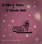Lenny Rich, Dvorak Family, Polkateers, a.o.