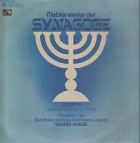 Leo Roth , Werner Sander - Meisterwerke Der Synagoge