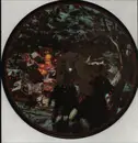 LP - Leonard Rosenman (J.R.R. Tolkien) - Lord of the Rings Soundtrack - Picture Disc/ No ocver/ Only record 2