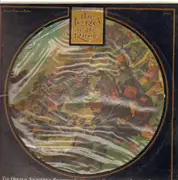 Picture LP - Leonard Rosenman (J.R.R. Tolkien) - Lord of the Rings Soundtrack - Double LP, embossed cover