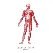 Le|ther Strip - Object Aep