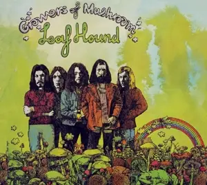 Leaf Hound - Growers of Mushroom