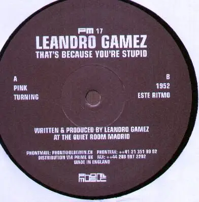 Leandro Gamez - That's Because You're Stupid