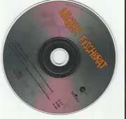 CD Single - Lecker Fischbrät - 80% Aller Tödlichen Unfälle Passieren In Haushalt