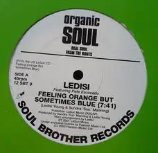 Ledisi - Feeling Orange But Sometimes Blue