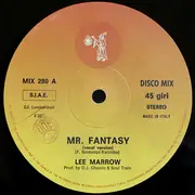12inch Vinyl Single - Lee Marrow - Mr. Fantasy