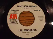 7inch Vinyl Single - Lee Michaels - Ummmm My Lady - Promo