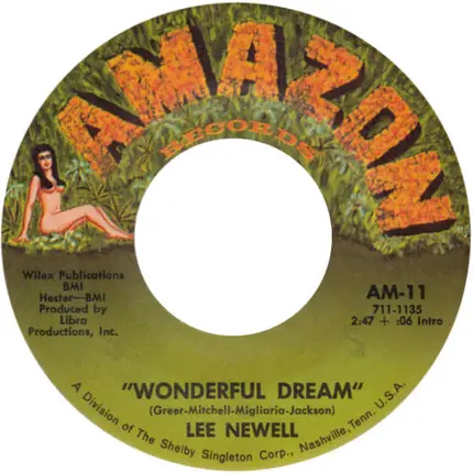 Lee Newell - Everything Else Is Gone