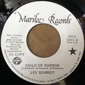 Lee Schmidt - Child Of Sorrow / Pass The Good Things Along
