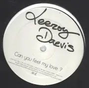 12inch Vinyl Single - Leeroy Daevis - Can You Feel My Love ?