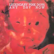 The Legendary Pink Dots - Any Day Now
