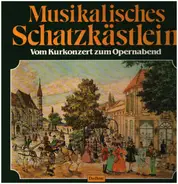 Lehar / J. Strauss / Offenbach a.o. - Musikalisches Schatzkästlein - Vom Kurkonzert zum Opernabend