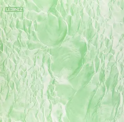 Leibniz - What Matters