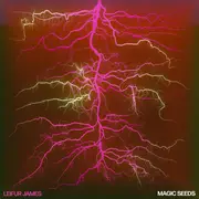 LP - Leifur James - Magic Seeds