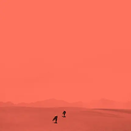 Leiras - A Prison Of Predictions