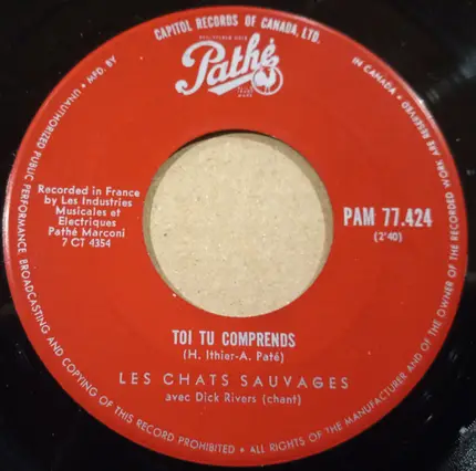 Les Chats Sauvages Avec Dick Rivers - Sous Le Ciel Écossais (When The Girl In Your Arms)