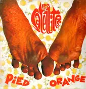 Les Satellites - Pied Orange