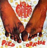 Les Satellites - Pied Orange